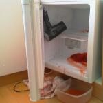 #132 - GC hast fun with the freezer and he and the freezer is still alive