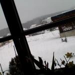 #166 - the snow is still alive in altenfelden 